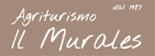 Logo Il Murales